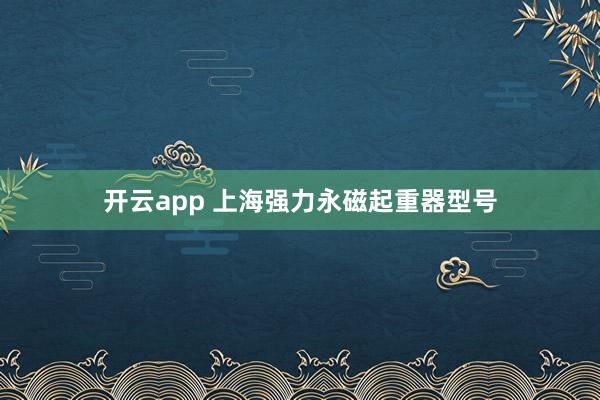 开云app 上海强力永磁起重器型号